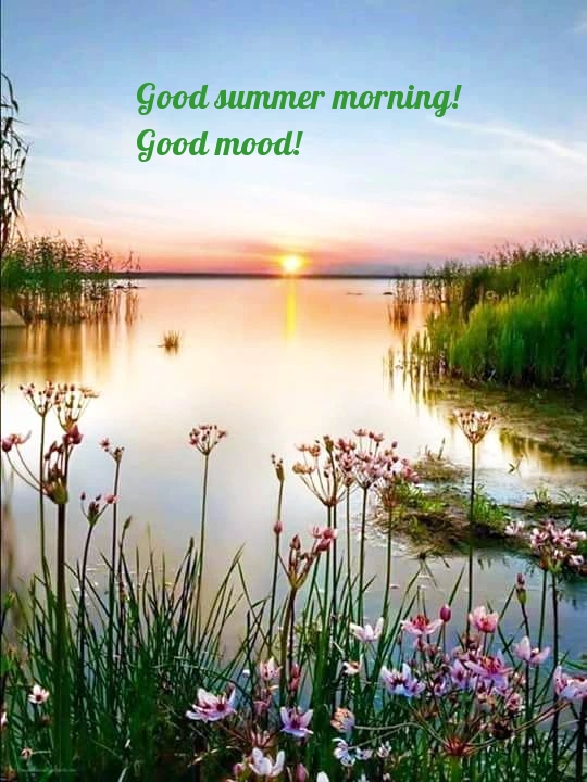 Good summer morning! Good mood!