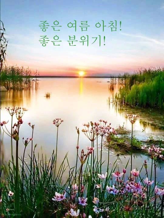 좋은 여름 아침! 좋은 분위기!