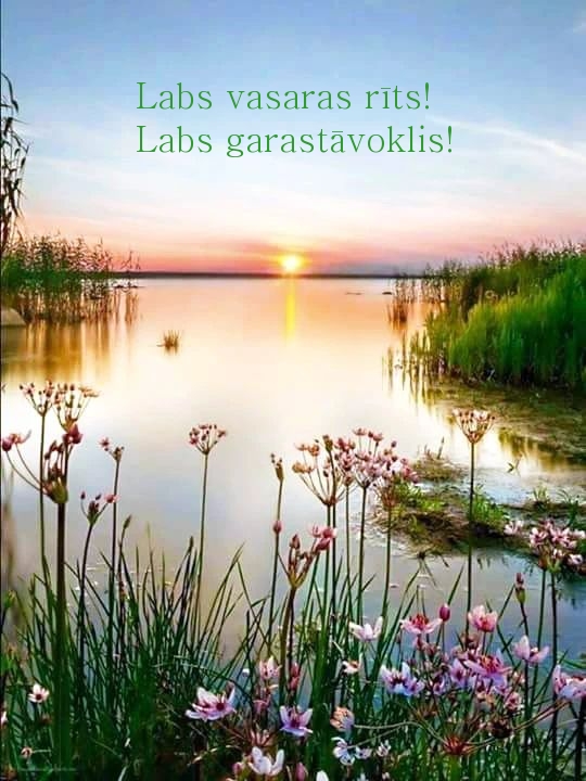 Labs vasaras rīts! Labs garastāvoklis!