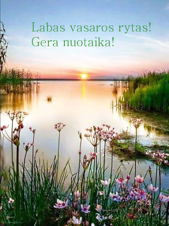 Labas vasaros rytas! Gera nuotaika!