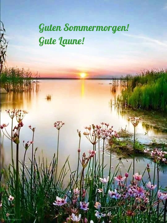 Guten Sommermorgen! Gute Laune!