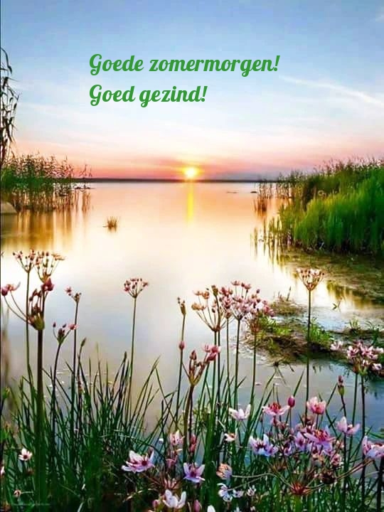 Goede zomermorgen! Goed gezind!