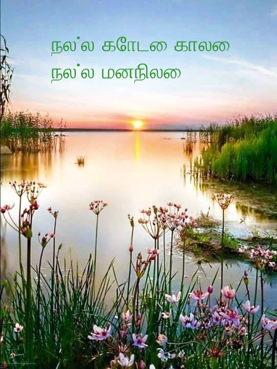 நல்ல கோடை காலை! நல்ல மனநிலை!