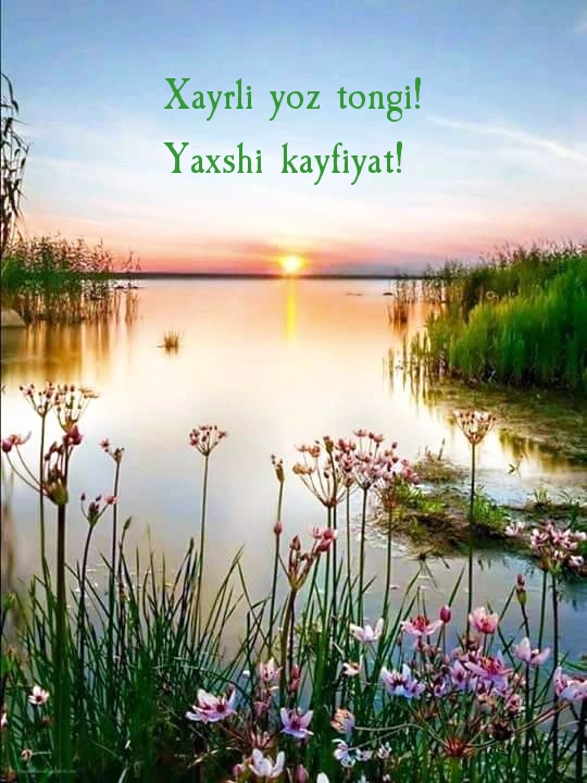 Xayrli yoz tongi! Yaxshi kayfiyat!
