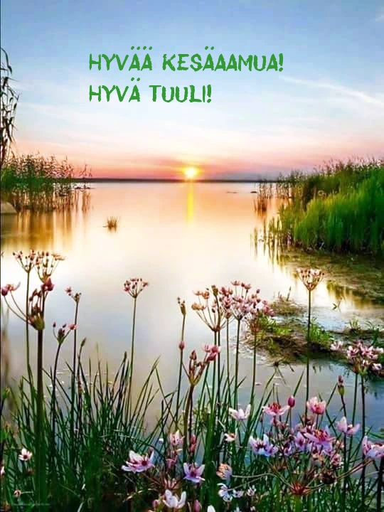 Hyvää kesäaamua! Hyvä tuuli!
