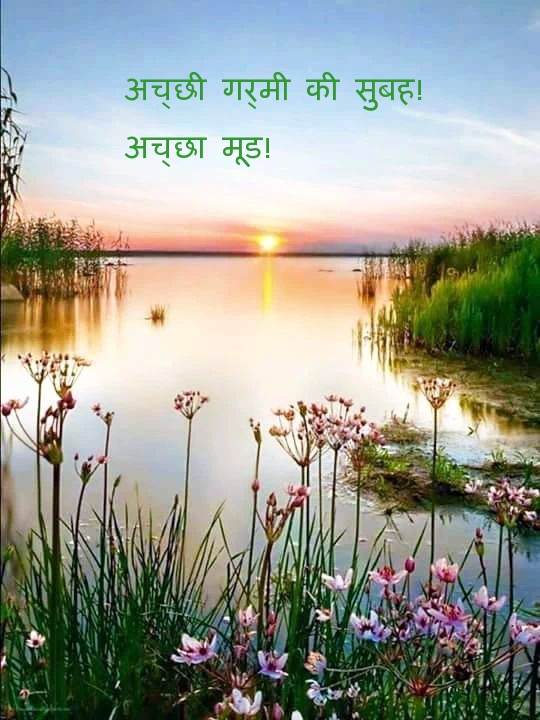 अच्छी गर्मी की सुबह! अच्छा मूड!