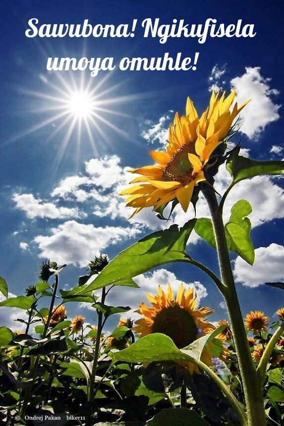 Sawubona! Ngikufisela umoya omuhle!