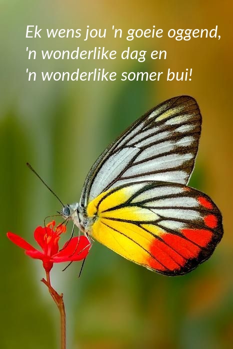 Ek wens jou 