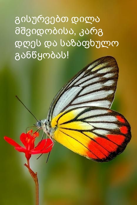 გისურვებთ დილა მშვიდობისა, კარგ დღეს და 