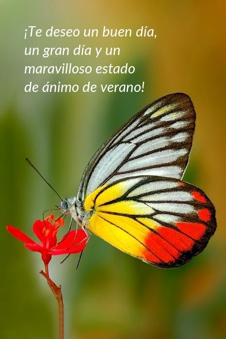 ¡Te deseo un buen día, un gran día y un maravilloso 