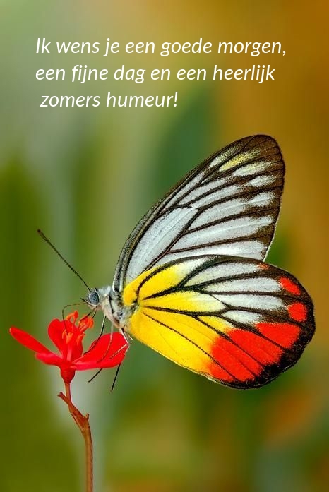 Ik wens je een goede morgen, een fijne dag en een 