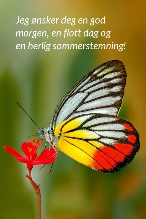 Jeg ønsker deg en god morgen