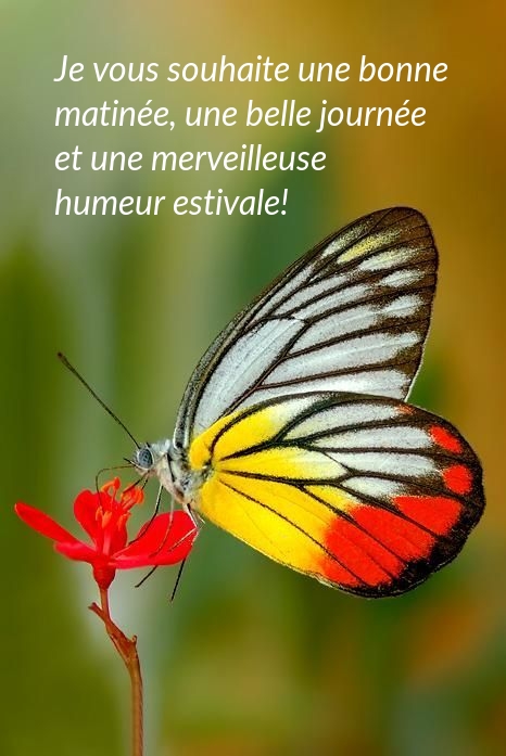Je vous souhaite une bonne matinée