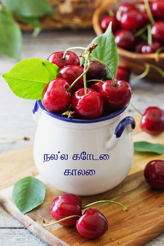நல்ல கோடை காலை!