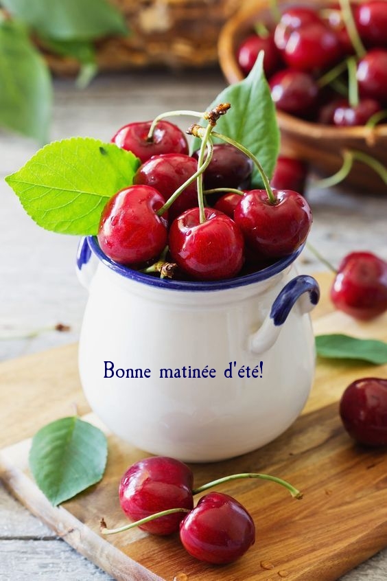 Bonne matinée d