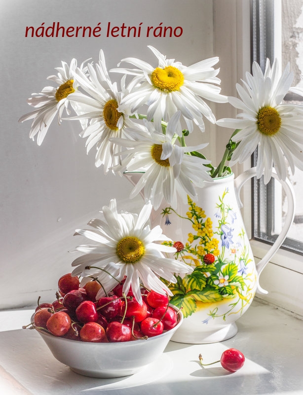 nádherné letní ráno