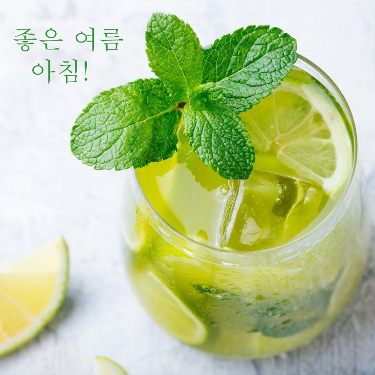 좋은 여름 아침!