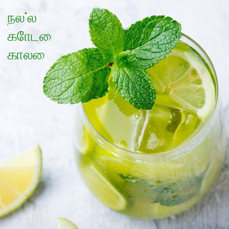 நல்ல கோடை காலை!