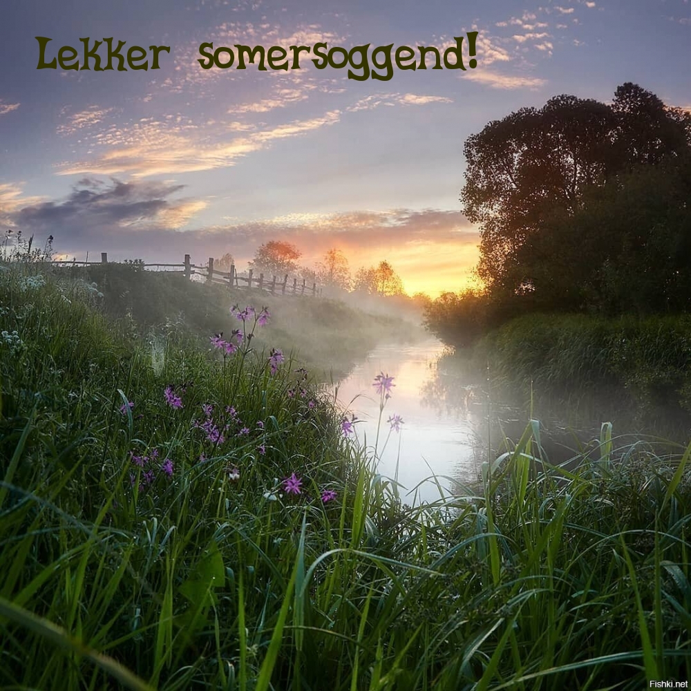 Lekker somersoggend!