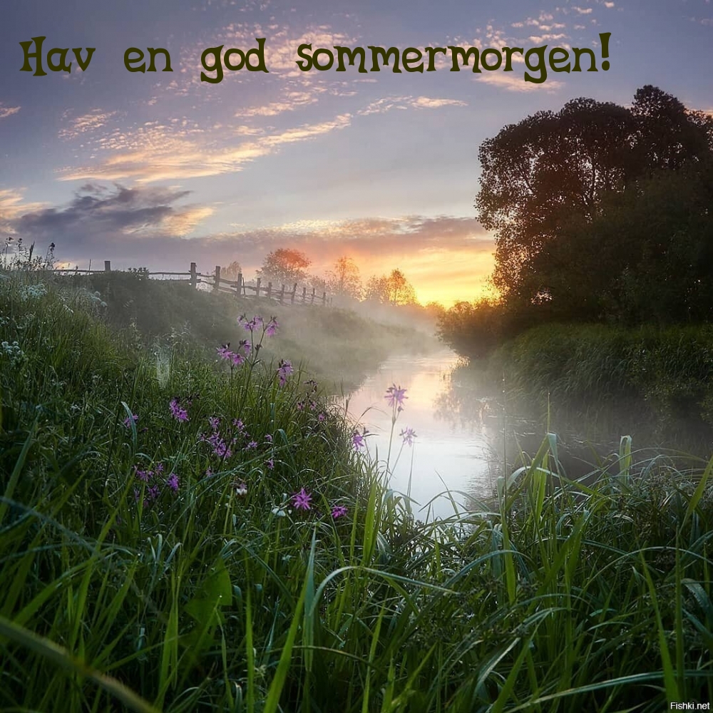Hav en god sommermorgen!