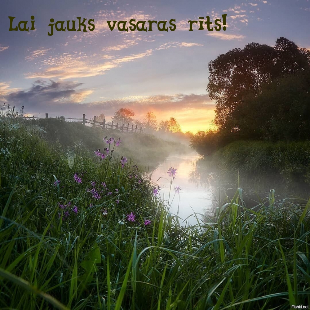 Lai jauks vasaras rīts!