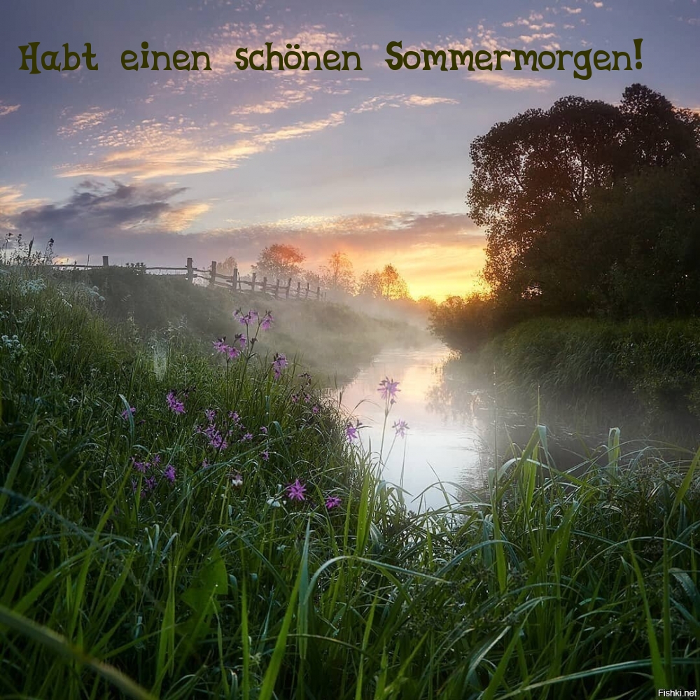 Habt einen schönen Sommermorgen!