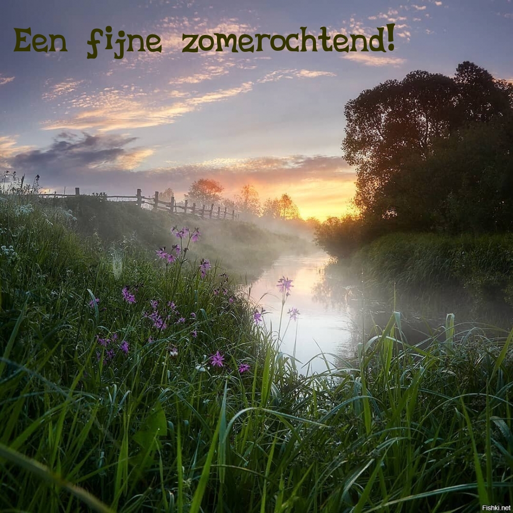 Een fijne zomerochtend!