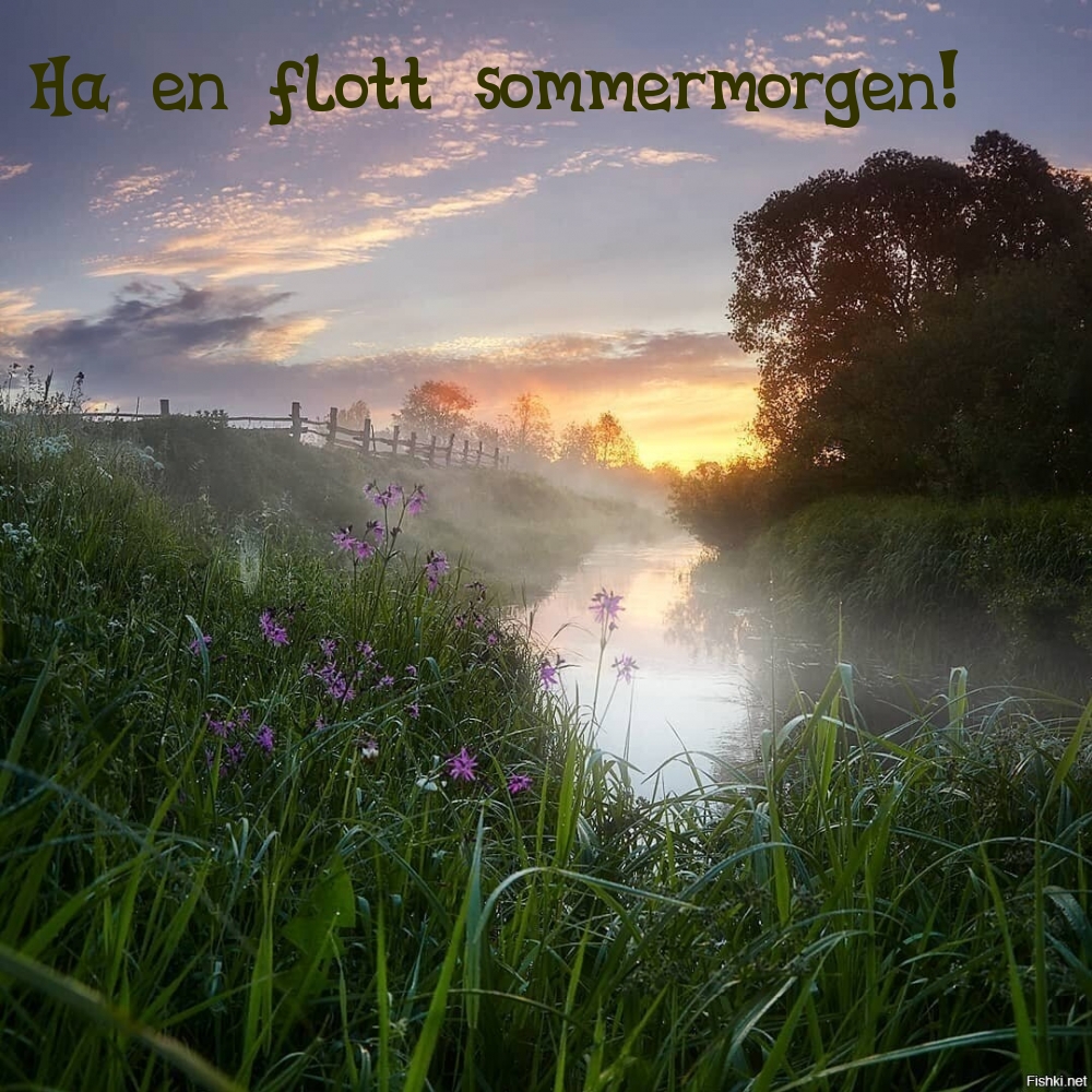 Ha en flott sommermorgen!