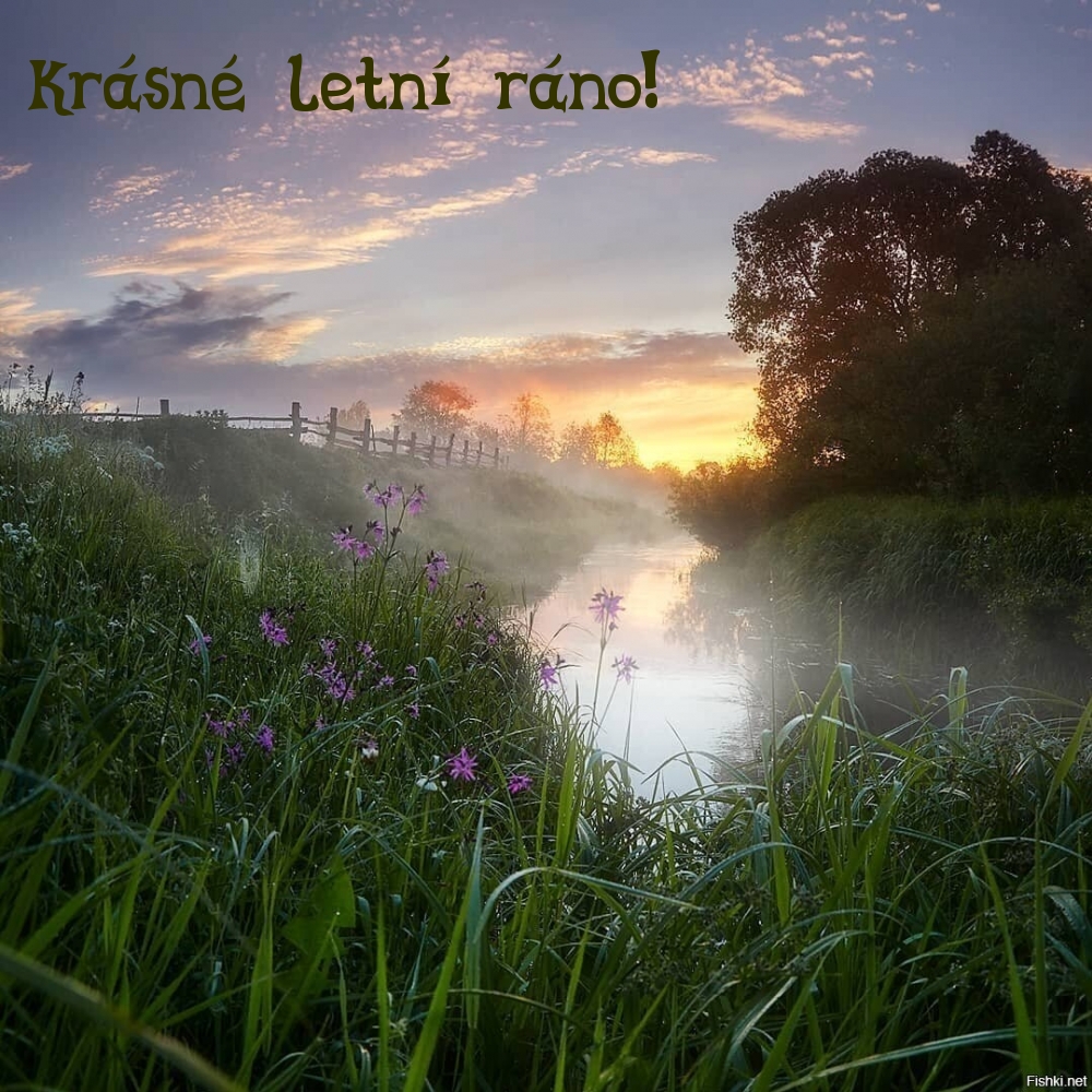 Krásné letní ráno!