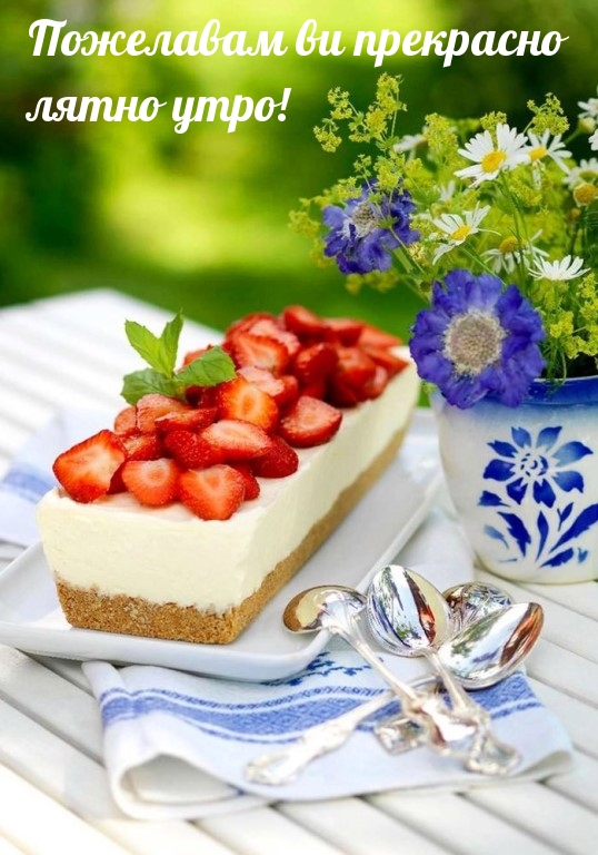 Пожелавам ви прекрасно лятно утро!