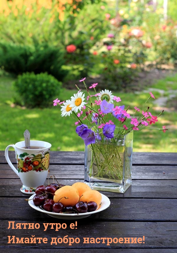 Лятно утро е! Имайте добро настроение!