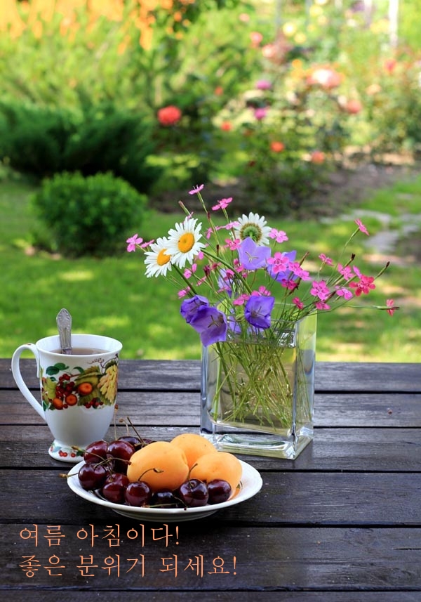 여름 아침이다! 좋은 분위기 되세요!