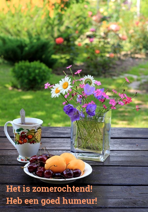 Het is zomerochtend! Heb een goed humeur!