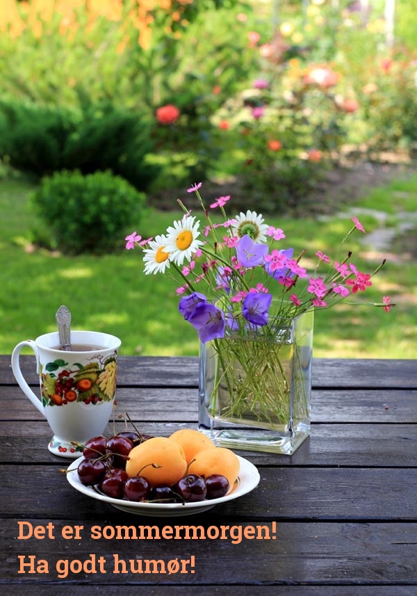 Det er sommermorgen! Ha godt humør!