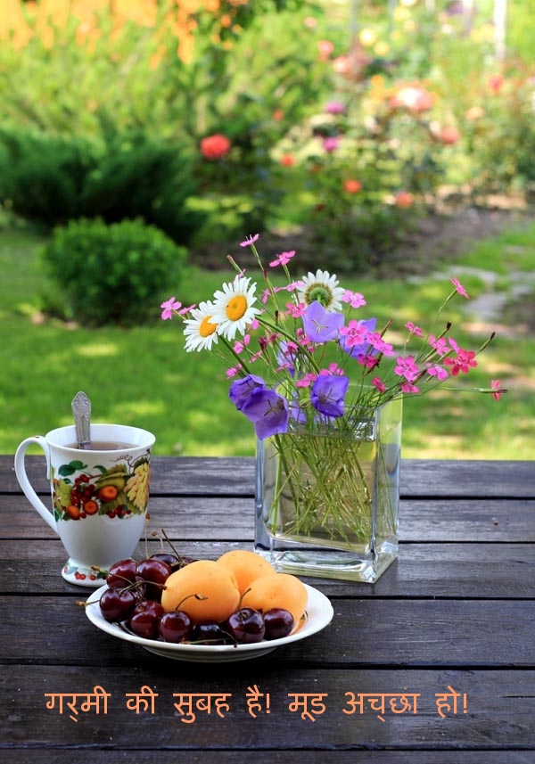 गर्मी की सुबह है! मूड अच्छा हो!