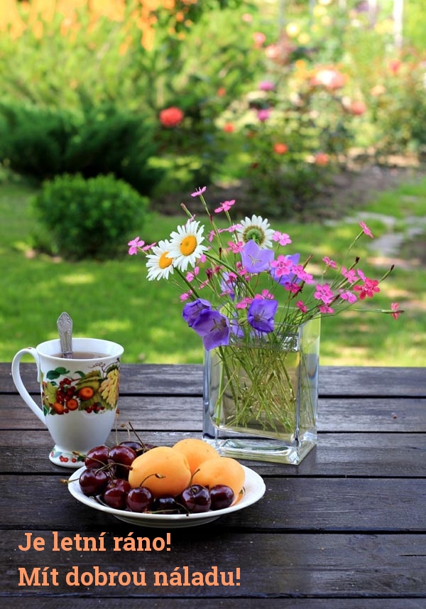 Je letní ráno! Mít dobrou náladu!