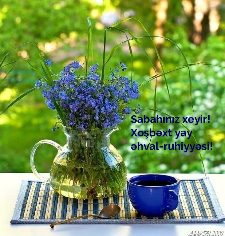 Sabahınız xeyir! Xoşbəxt yay əhval-ruhiyyəsi!