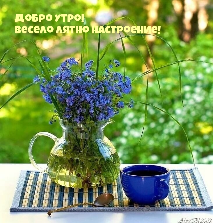 Добро утро! Весело лятно настроение!