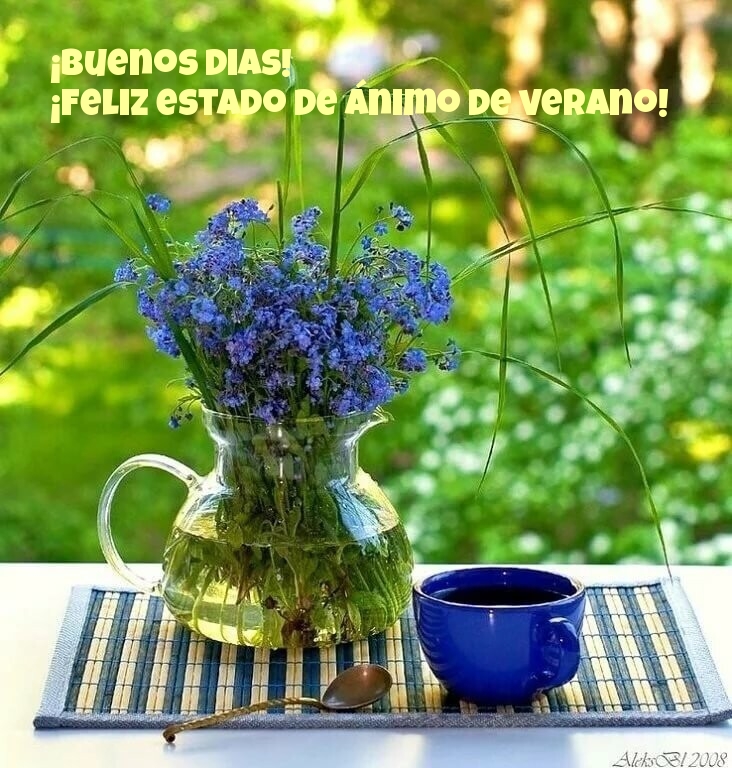 ¡Buenos Dias! ¡Feliz estado de ánimo de verano!