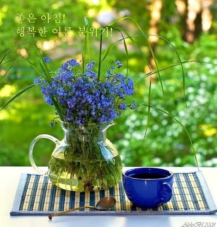 좋은 아침! 행복한 여름 분위기!
