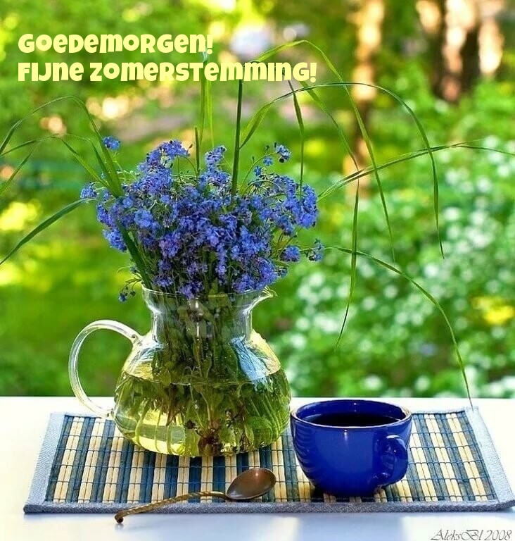 Goedemorgen! Fijne zomerstemming!
