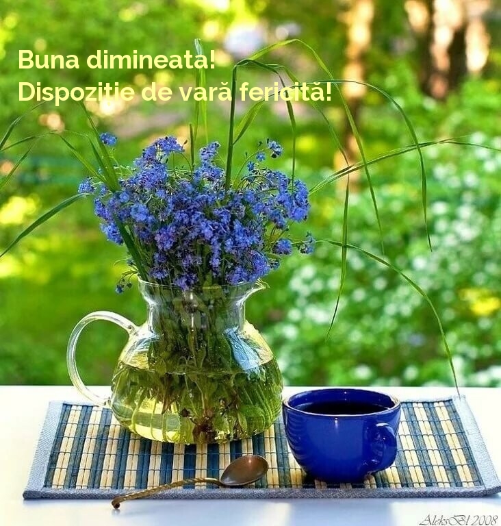 Buna dimineata! Dispoziție de vară fericită!