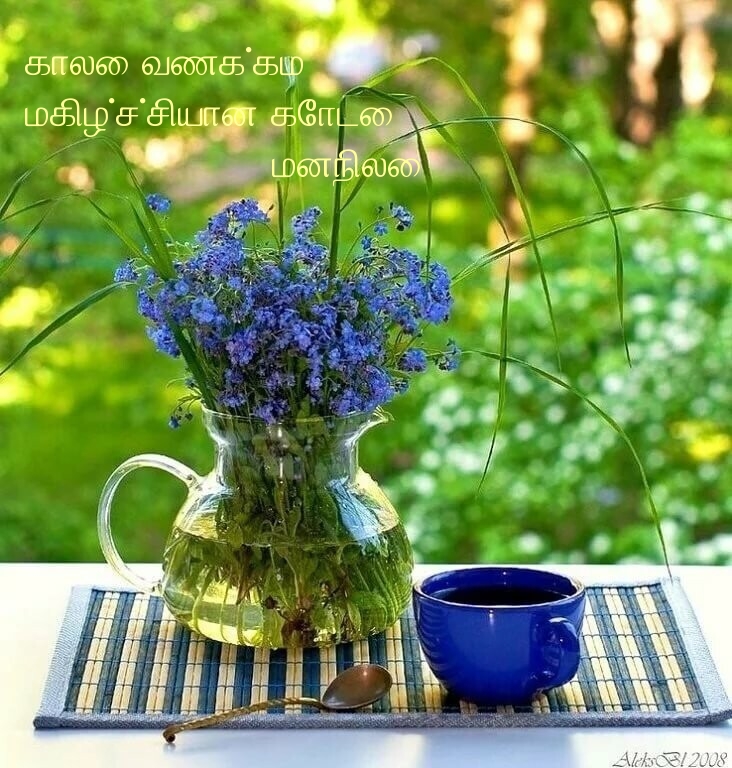 காலை வணக்கம்! மகிழ்ச்சியான கோடை மனநிலை!