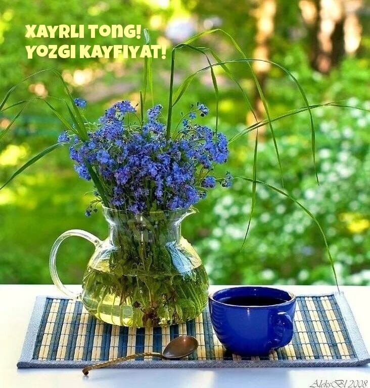 Xayrli tong! Yozgi kayfiyat!