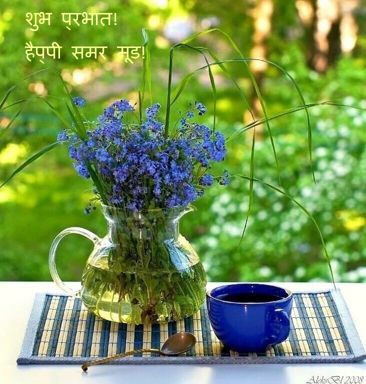 शुभ प्रभात! हैप्पी समर मूड!