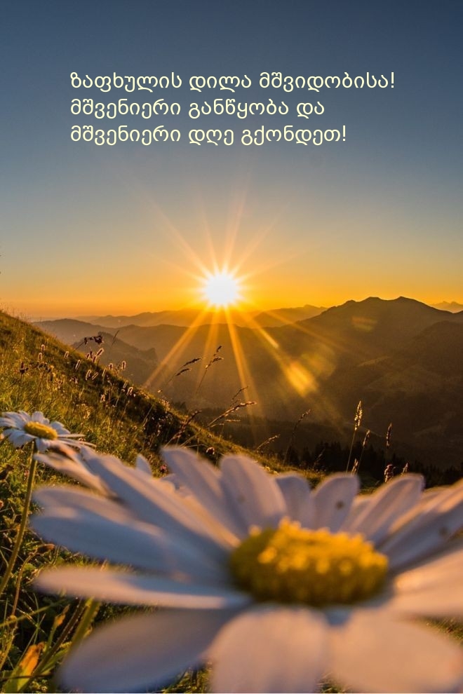 ზაფხულის დილა მშვიდობისა!