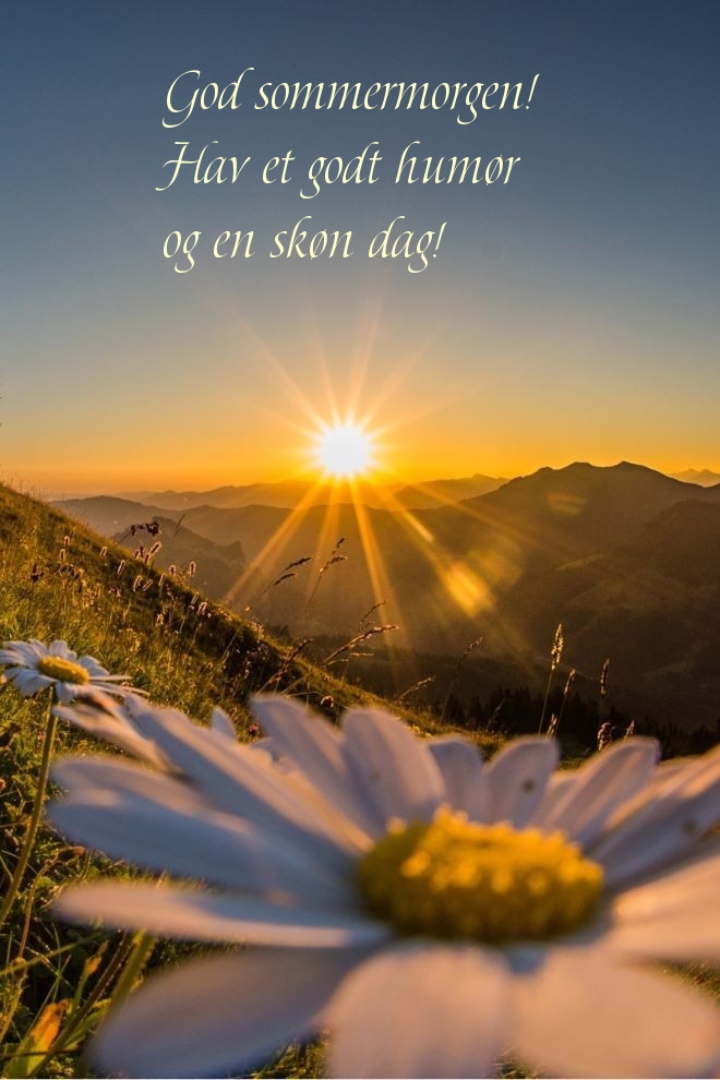 God sommermorgen! Hav et godt humør og en skøn dag!