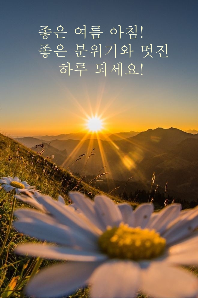 좋은 여름 아침! 좋은 분위기와 멋진 하루 되세요!
