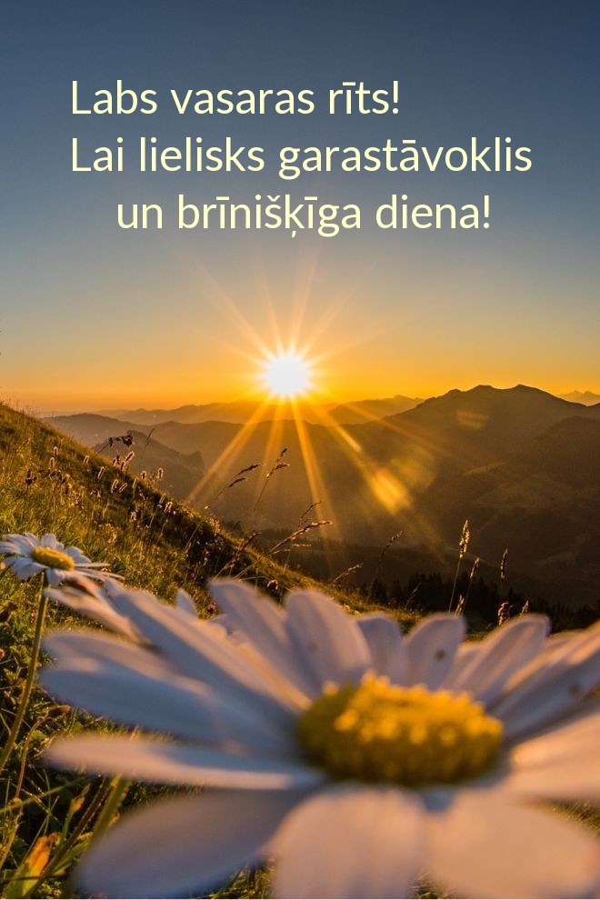 Labs vasaras rīts! Lai lielisks garastāvoklis un brīnišķīga diena!