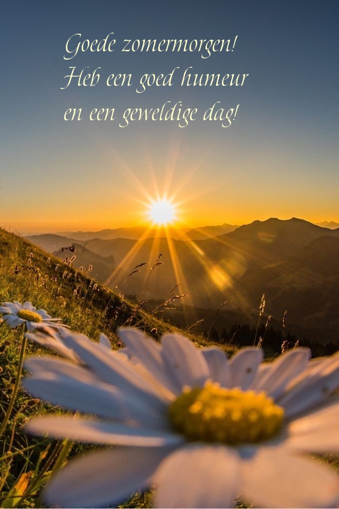 Goede zomermorgen! Heb een goed humeur en een geweldige dag!